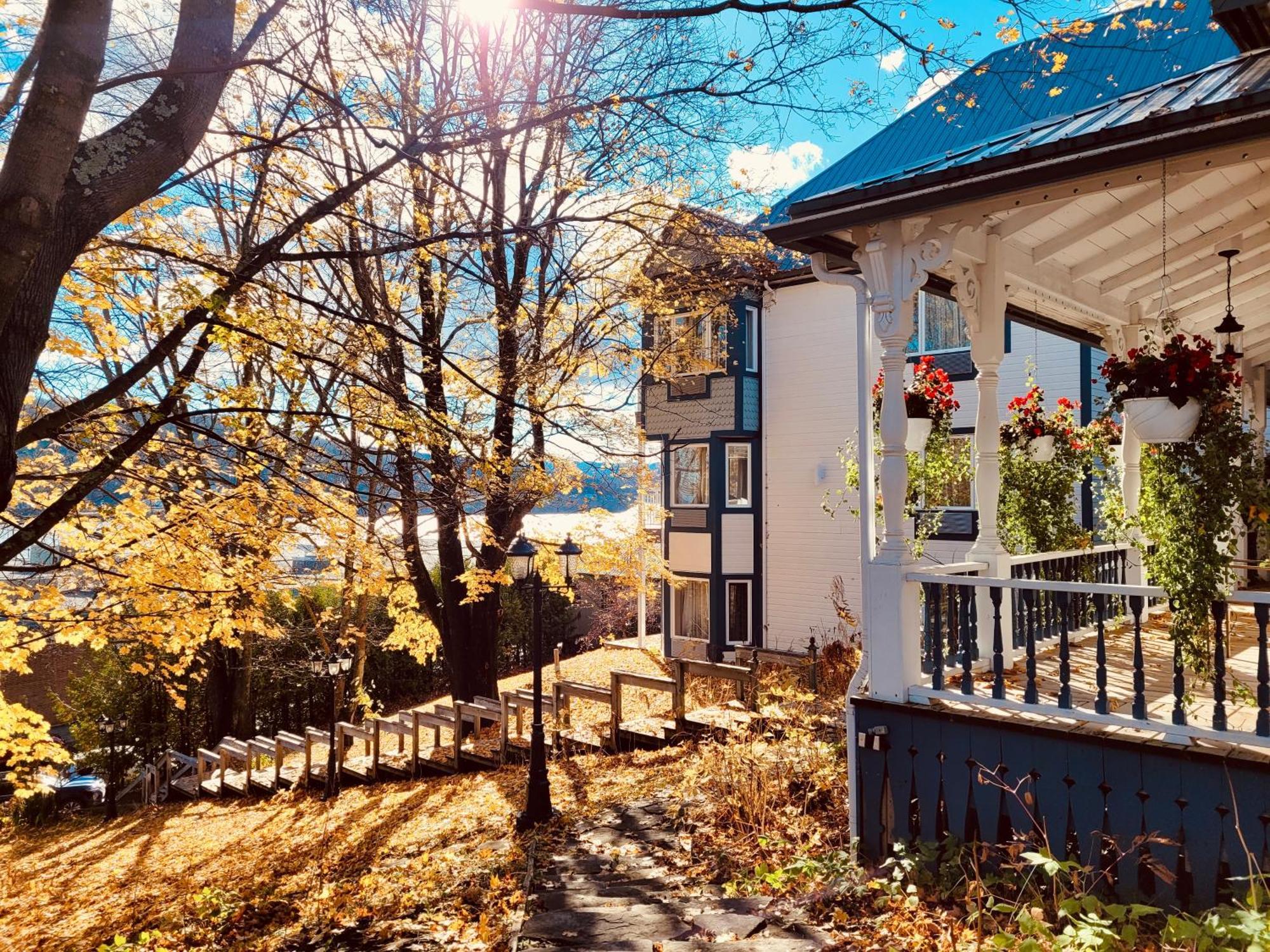 Auberge Sous Les Arbres Gaspé Εξωτερικό φωτογραφία