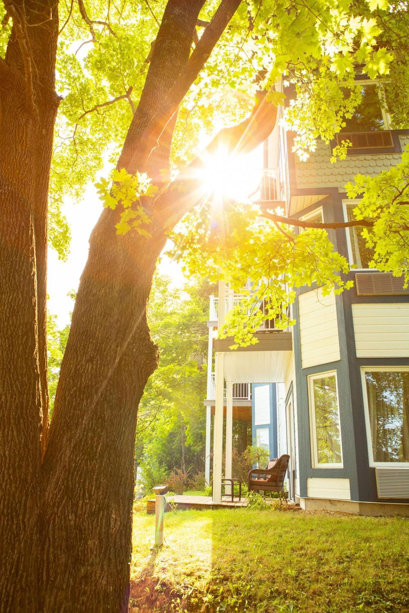 Auberge Sous Les Arbres Gaspé Εξωτερικό φωτογραφία